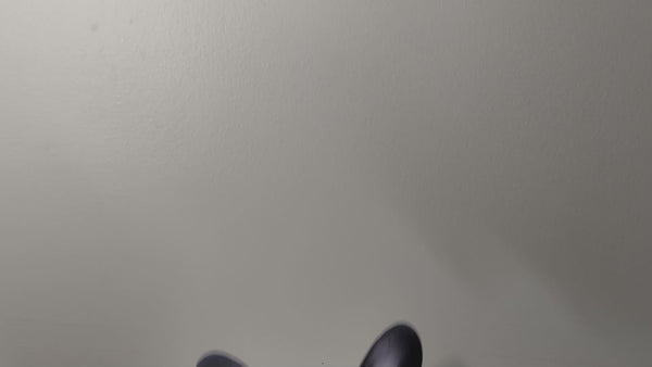 Black french bulldog decal video