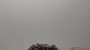 1837 video
