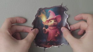 Wizard Mouse Video
