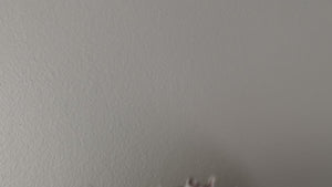 Photographer Mouse Hole Decal