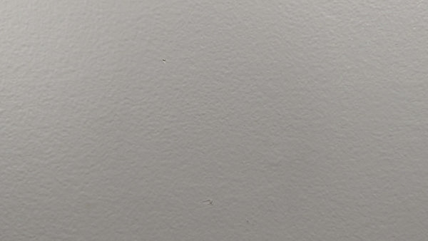 American Gothic mouse video