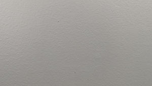 Karate Mouse decal video