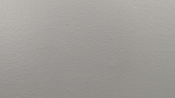Karate Mouse decal video