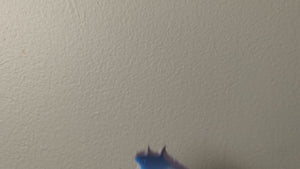 Astronaut Mouse decal video