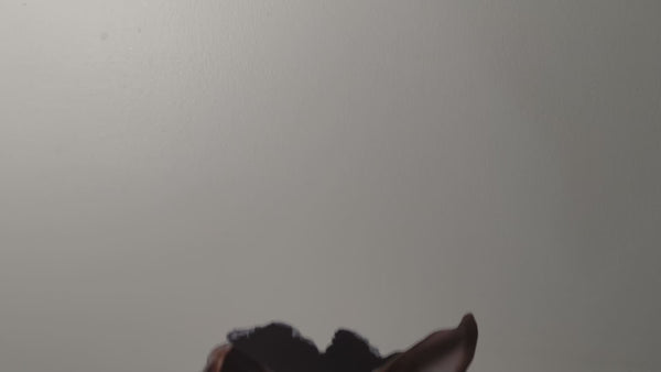 Pitbull decal video