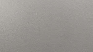 Bathroom mouse decal video