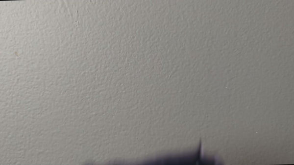 Astronomer Mouse decal video