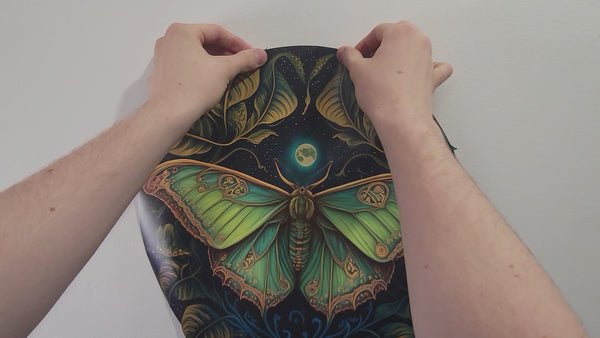 Luna Moth Video