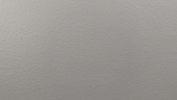 Baker mouse decal video