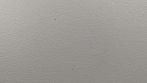 Race Car Driver Mouse Hole Decal