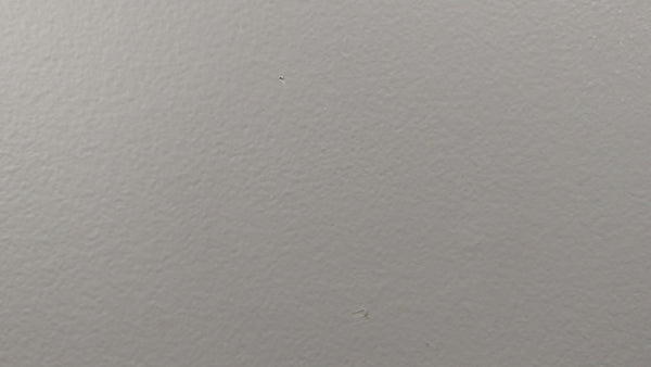 Female Teacher Mouse decal video