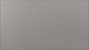 Flute mouse decal video