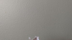 Bathtub Mouse decal video