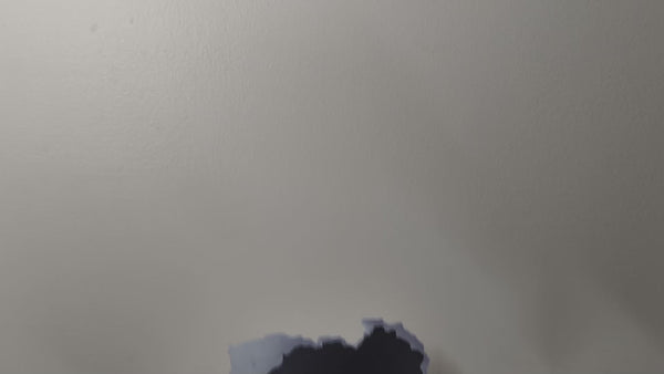 White cat decal video