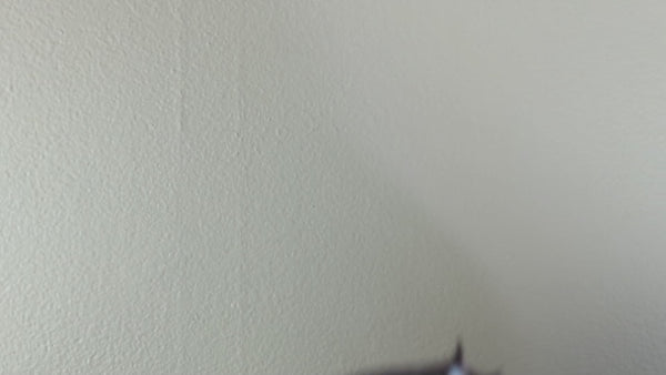 French Eiffel Tower Mouse decal video