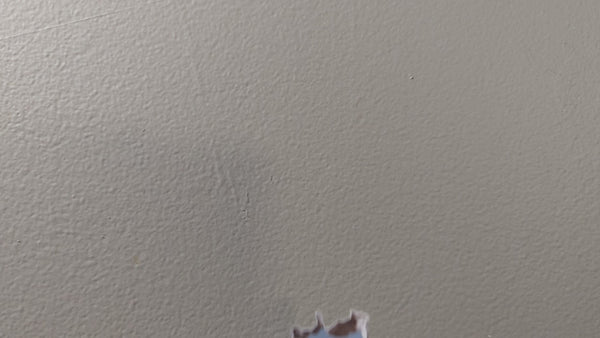 Doctor Mouse video