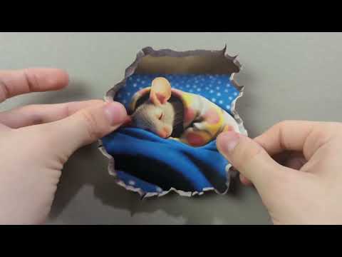 Sleeping Mouse Hole Decal