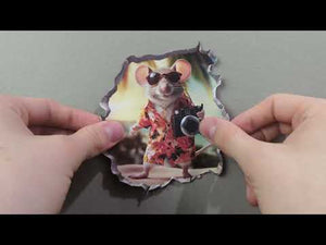 Camera Mouse Hole Decal