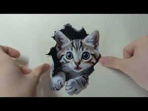 Tabby Cat Hole Decal