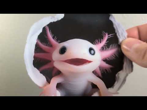 Axolotl Hole Decal