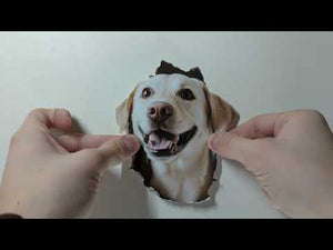 Golden Retriever Dog Hole Decal