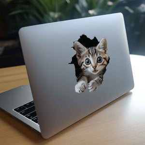 Tabby Cat Hole Decal - My Wonderful Walls
