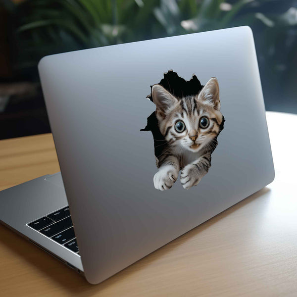 Tabby Cat Hole Decal - My Wonderful Walls