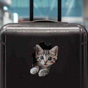 Tabby Cat Hole Decal - My Wonderful Walls