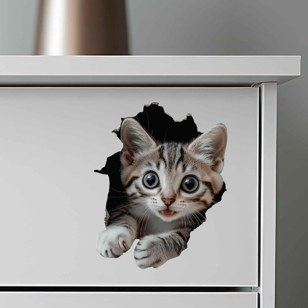 Tabby Cat Hole Decal - My Wonderful Walls