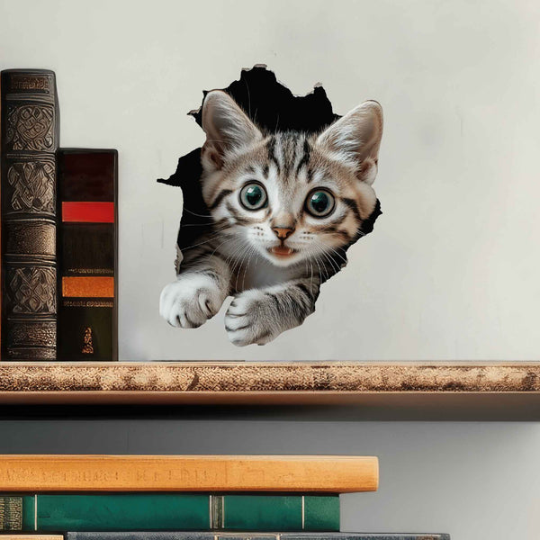Tabby Cat Hole Decal - My Wonderful Walls