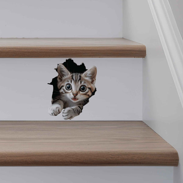Tabby Cat Hole Decal - My Wonderful Walls