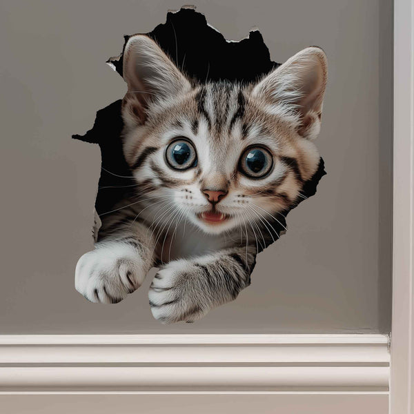 Tabby Cat Hole Decal - My Wonderful Walls
