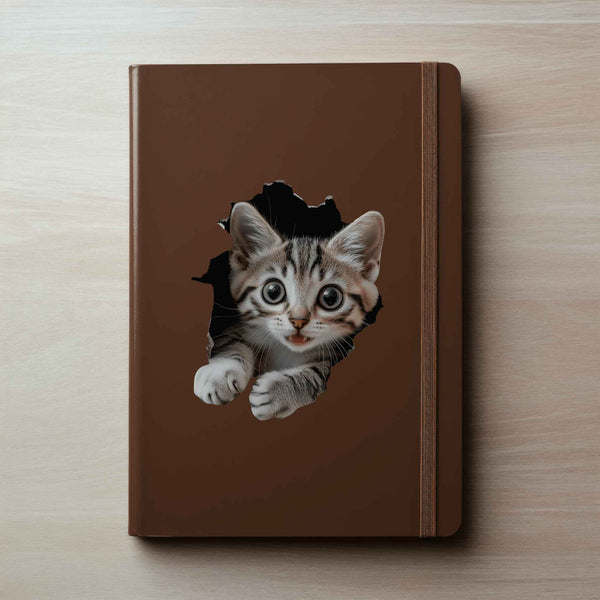 Tabby Cat Hole Decal - My Wonderful Walls
