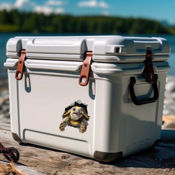 Turtlebox Custom Decal Turtle Decal