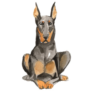 Doberman
