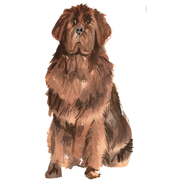 Newfoundland