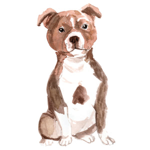 Staffordshire Bull Terrier