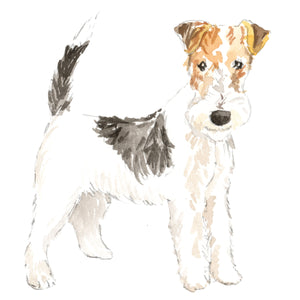 Wire Fox Terrier