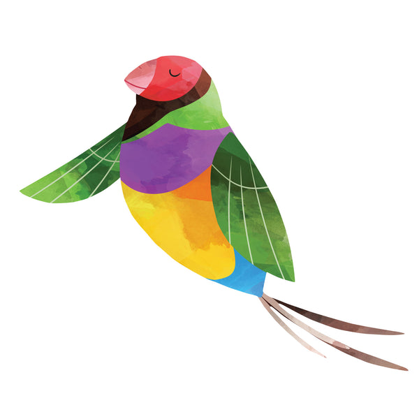 Macaw Bird Decal