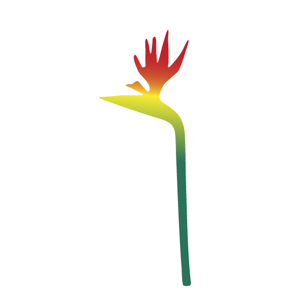 bird of paradise stencil