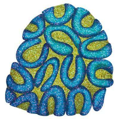 brain coral sticker