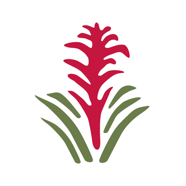 bromeliad stencil