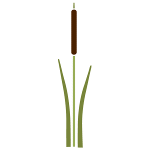 cattail stencil