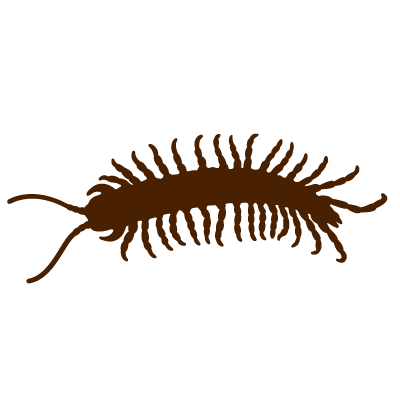 Centipede Stencil