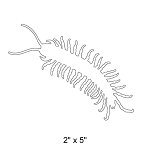 Centipede Stencil