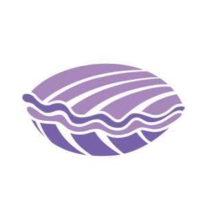 clam stencil