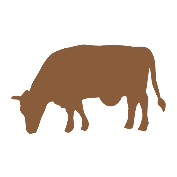 Cow Stencil Small
