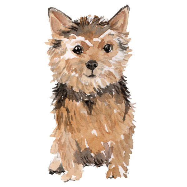 Dog Decals - 81 Dog Breeds - Mix and Match - My Wonderful Walls