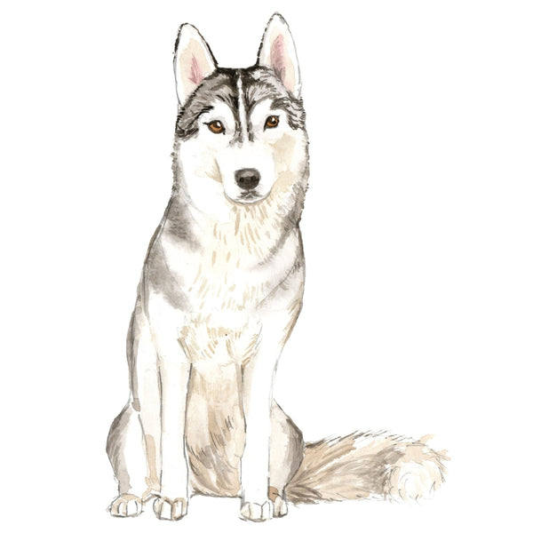 Dog Decals - 81 Dog Breeds - Mix and Match - My Wonderful Walls