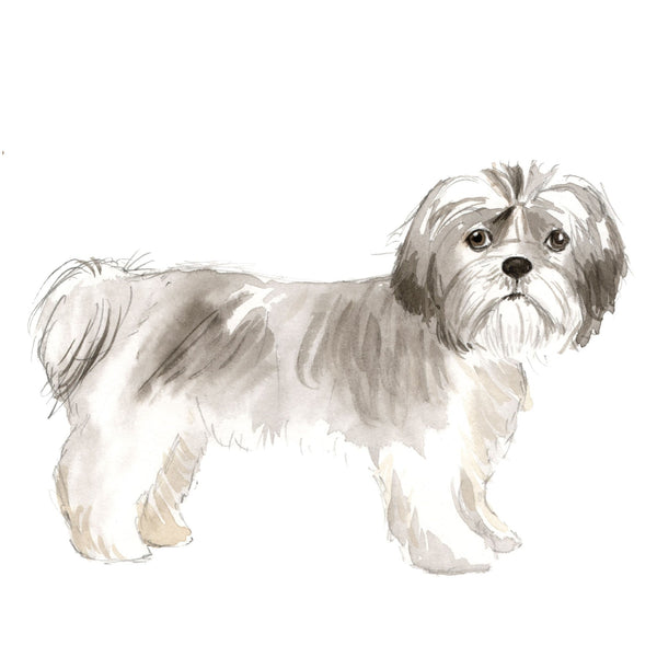 Dog Decals - 81 Dog Breeds - Mix and Match - My Wonderful Walls